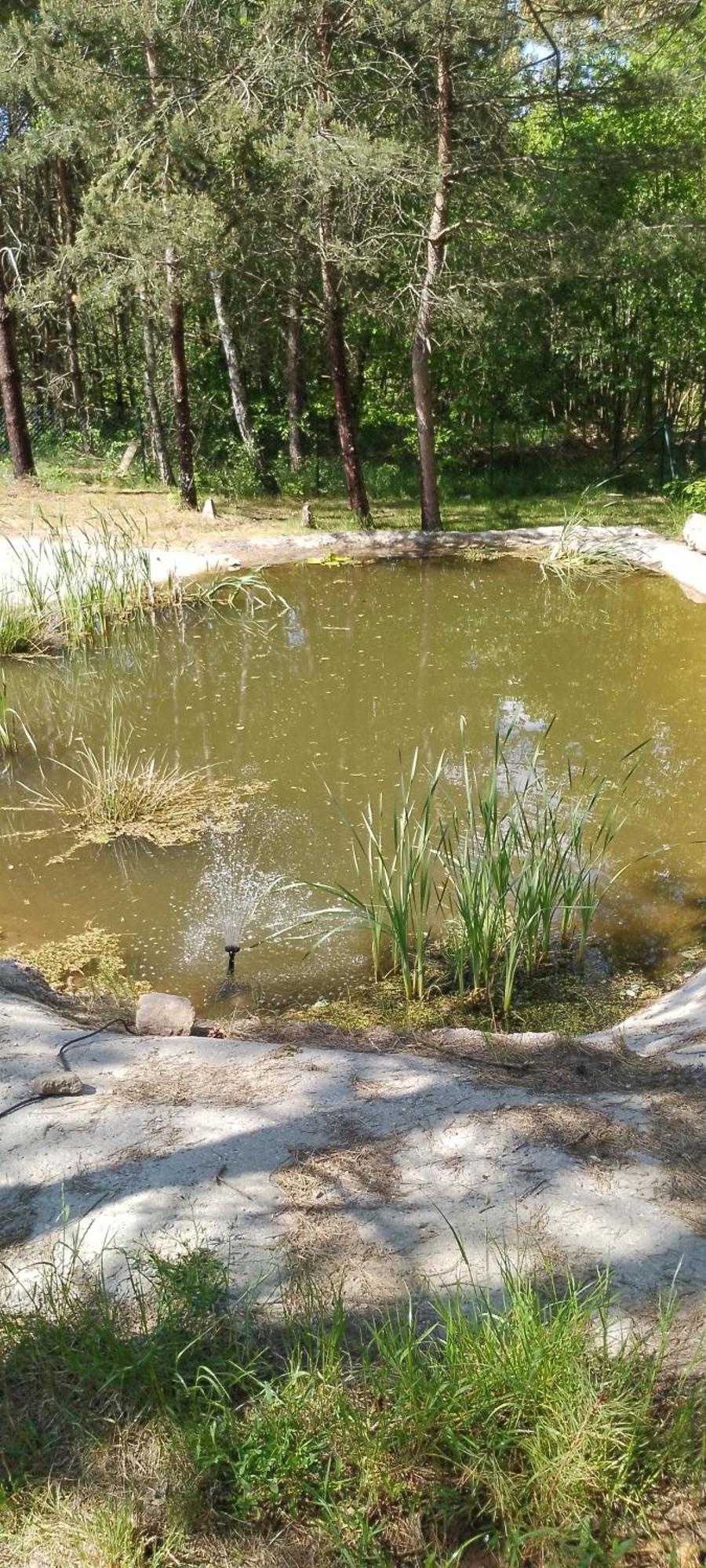 Willa ,,Domek Na Skarpie" Z Balia I Basenem Letnim Sulęczyno Zewnętrze zdjęcie